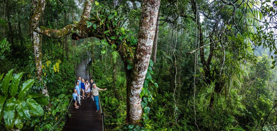 From Cairns: Self-Guided Kuranda Trip with Train and Skyrail - Your free time in Kuranda