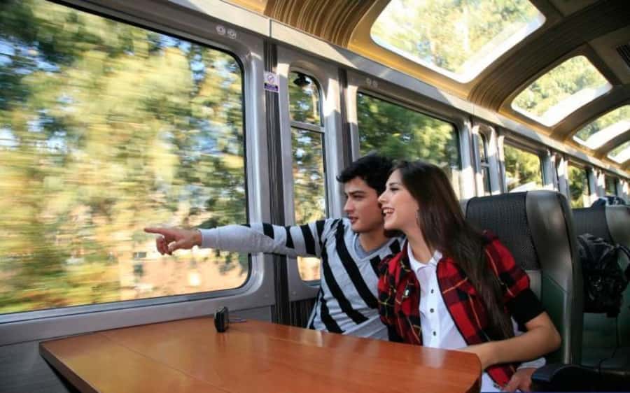 From Cusco: Machu Picchu Private Day Trip on Panoramic Train - Key points to know before booking