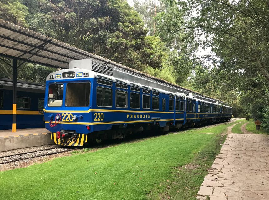 From Cusco: Machu Picchu Private Day Trip on Panoramic Train - What to pack for this day
