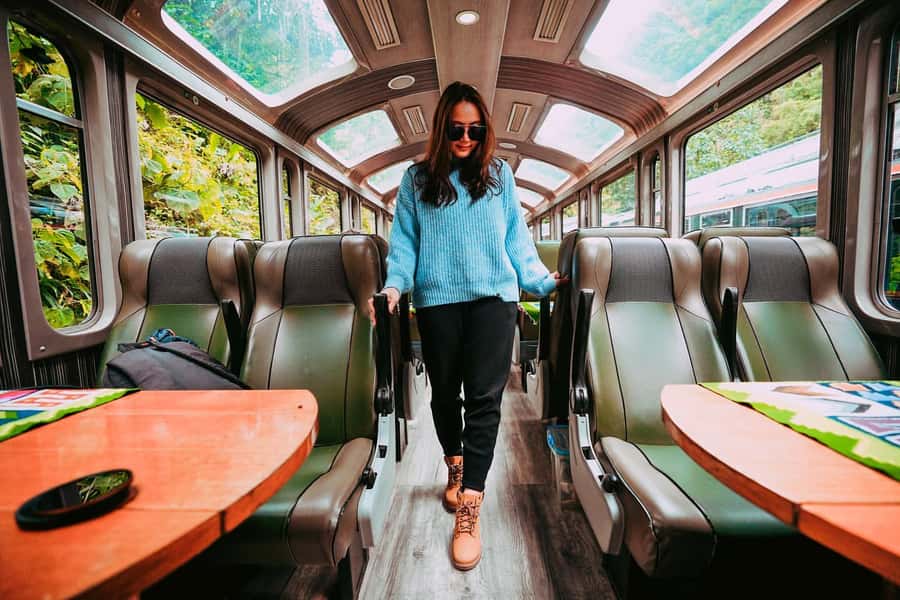 From Cusco: Train Ride and Guided Tour of Machu Picchu - Why the Vistadome option matters