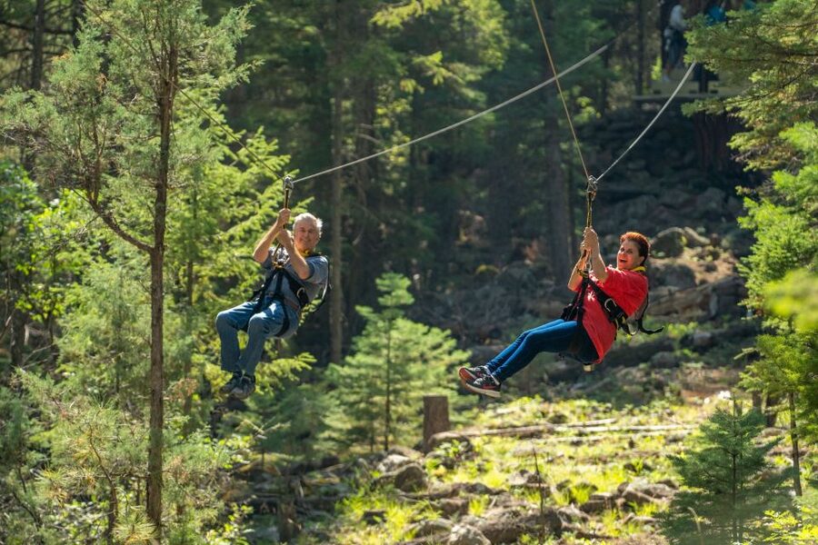 From Durango: All-Day Zipline Adventure with Train & Lunch - A four-course meal above the Animas River