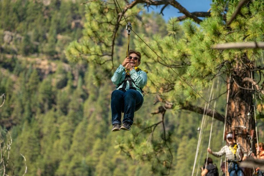 From Durango: All-Day Zipline Adventure with Train & Lunch - What the $648 price really covers