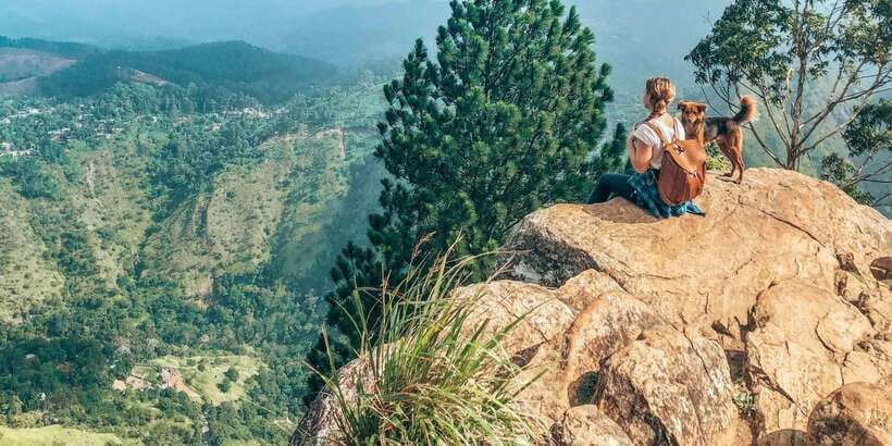 From Ella- All inclusive Day Trip of 8 Iconic Sights & Train - Walking across Nine Arch Bridge