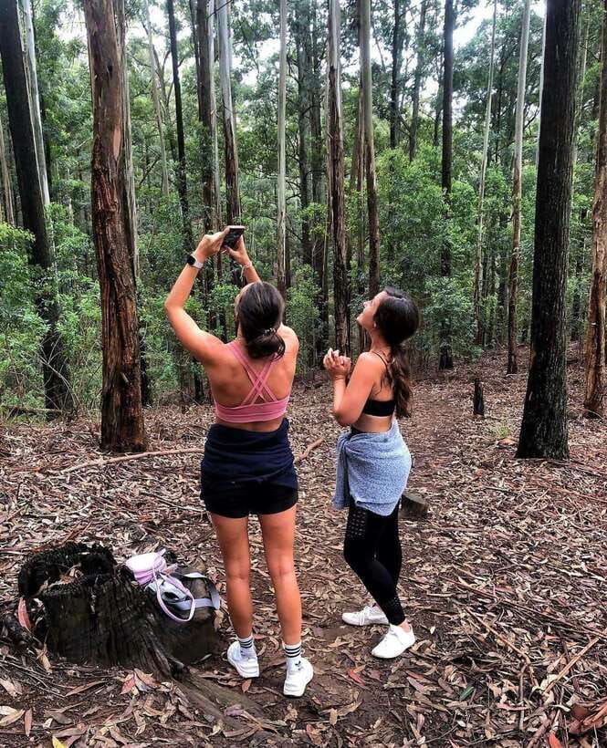From Ella- All Inclusive Day Trip to Experience Ella & Train - Ella Rock, a two-hour test of your legs