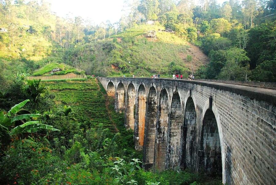 From Ella - Day Trip of 8 Iconic Sights & Scenic Train Ride - The Demodara to Ella train ride