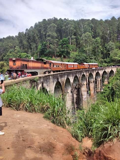 From Ella: Ella Unfogettable Day tour & Train Ride Tour - Lunch and local Sri Lankan flavors