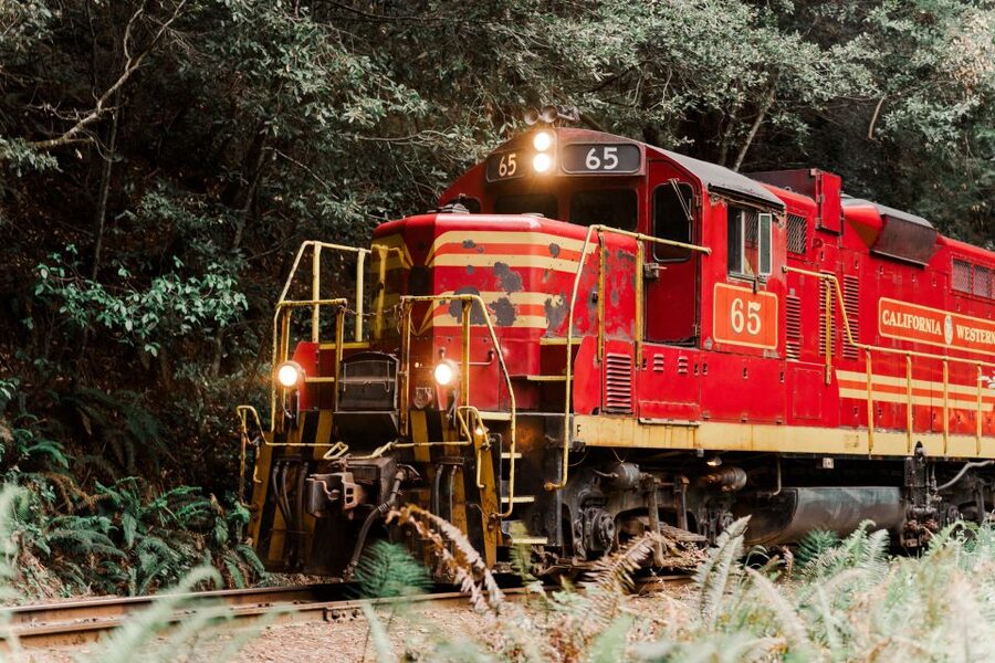 From Fort Bragg: Redwoods Train Ride and Nightclub Ticket - Key points to know before you book
