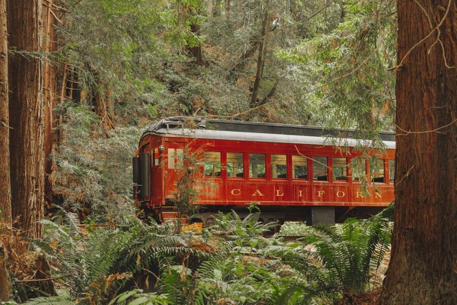 From Fort Bragg: Redwoods Train Ride and Nightclub Ticket - Glen Blair Bar, a venue reached only by train