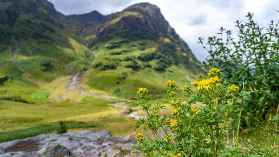 From Glasgow: Jacobite Steam Train & The Highlands Tour - Leaving Glasgow for Loch Lomond and the Trossachs