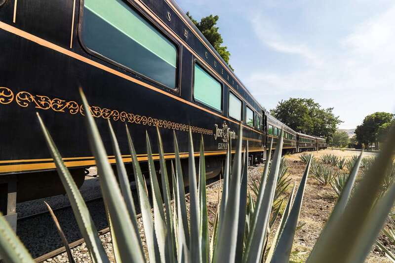 From Guadalajara: La Rojeña Distillery & Jose Cuervo Train - Free time in Tequila town