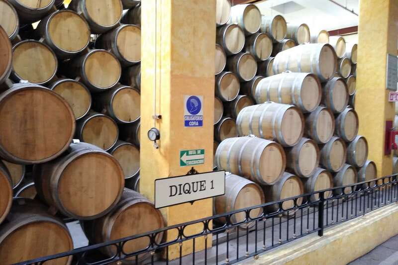 From Guadalajara: La Rojeña Distillery & Jose Cuervo Train - The pace, language, and practical side