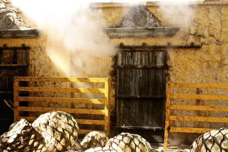 From Guadalajara: La Rojeña Distillery & Jose Cuervo Train - Who will enjoy this day most