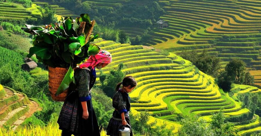 From Hanoi: 2-Day 2-Night Sapa Tour by Overnight Train - Key points to know before booking