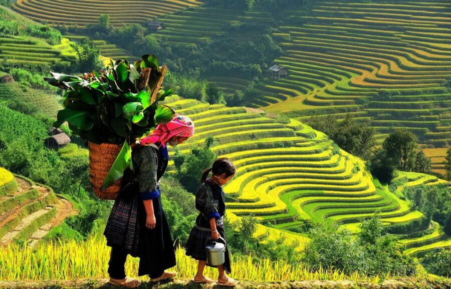 From Hanoi: 2-Day 2-Night Sapa Tour by Overnight Train - Returning to Hanoi by daytime vehicle