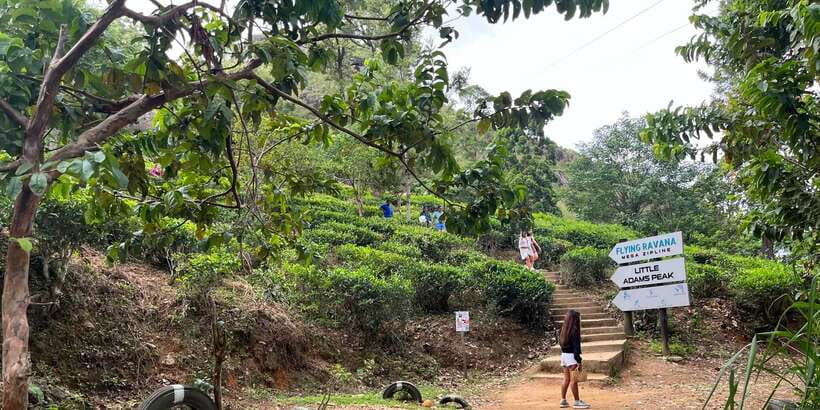 From kandy Train, and Pool Club Day Tour with Pickup - A very full day from Kandy to Ella