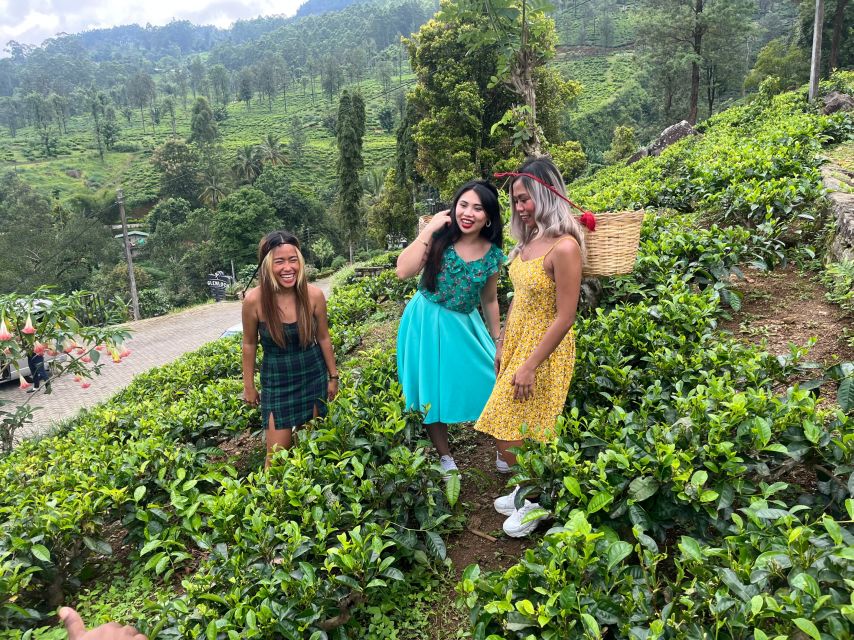 From kandy Train, and Pool Club Day Tour with Pickup - Nine Arch Bridge in one focused hour