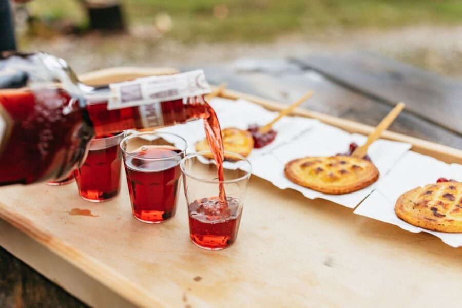 From Krakow: Zakopane Day Tour with Tasting & Funicular Ride - The road south from Krakow