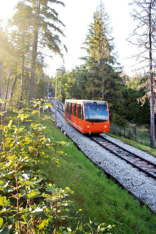 From Krakow: Zakopane Day Trip with Funicular & Food Tasting - The driver and guide can shape the day