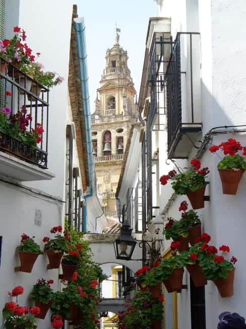 From Madrid: Cordoba and Mosque Day Trip by High-Speed Train - The train ride from Madrid to Cordoba