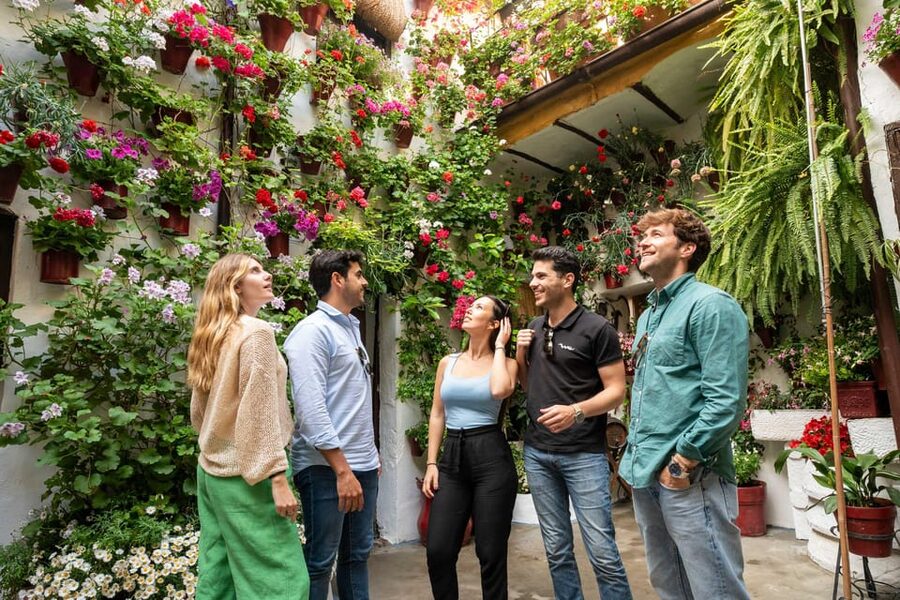 From Madrid: Córdoba Private Day Tour by High-Speed Train - Walking through Patios de San Basilio
