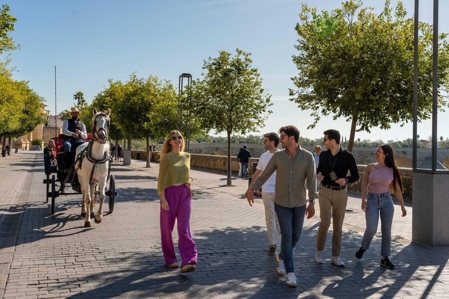 From Madrid: Córdoba Private Day Tour by High-Speed Train - Getting the train day right