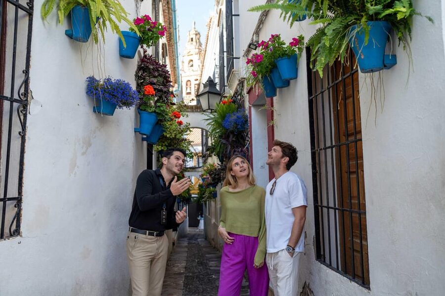 From Madrid: Córdoba Private Day Tour by High-Speed Train - Entering the Mezquita-Catedral