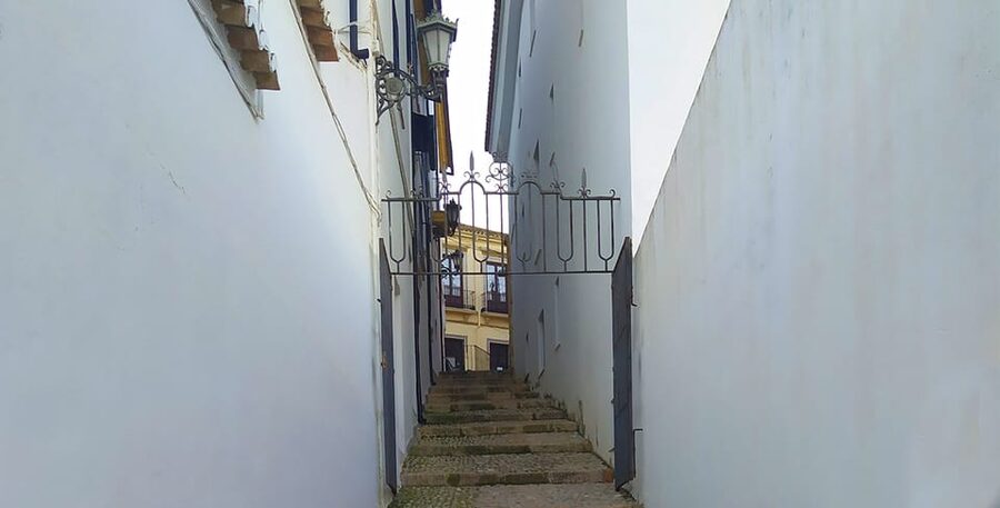 From Malaga: Ronda and Setenil Tour with Scenic Train - Is $28 Good Value?
