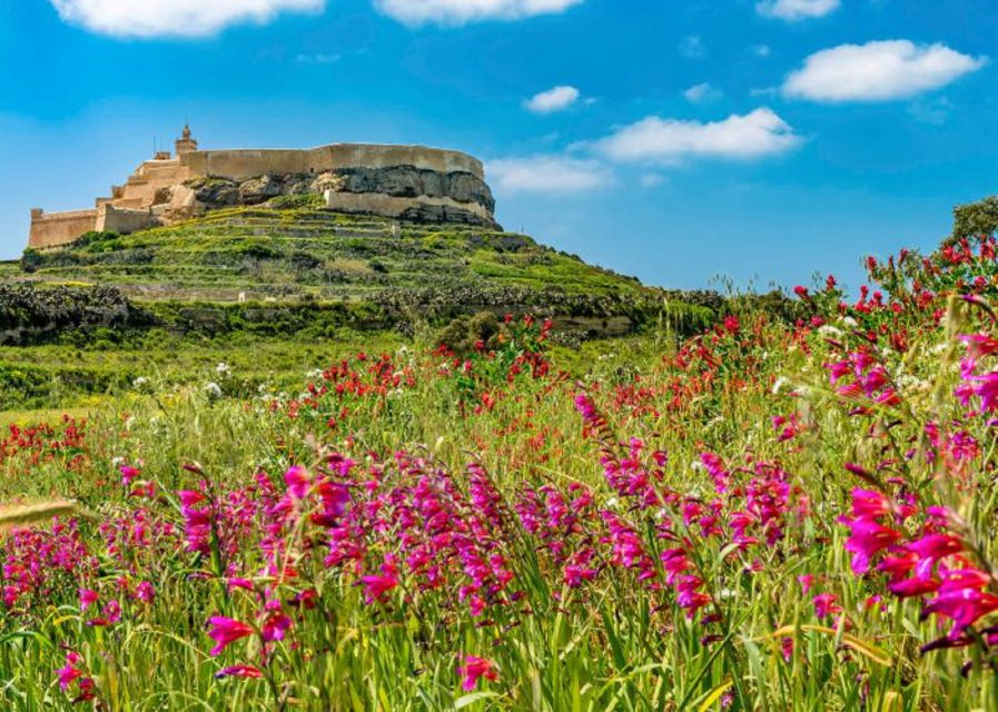 From Malta: Gozo Full-Day Tour with Guide, Temples, & Train - Early pickup and the crossing from Malta