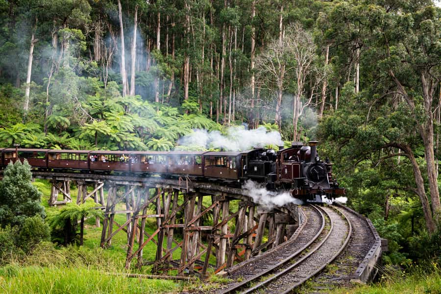 From Melbourne: Puffing Billy Steam Train & Wildlife Tour - Why Puffing Billy makes this day different