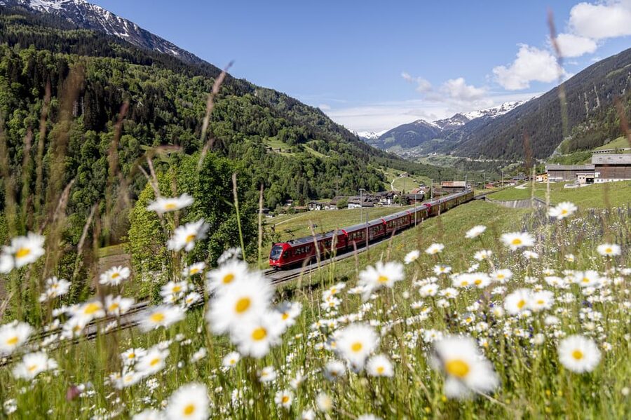 From Milan: Bernina Red Train to St Moritz Guided Tour - St. Moritz in one brisk hour