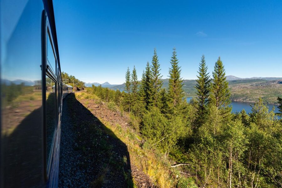 From Narvik: Roundtrip Arctic Train Ride on Ofoten Railway - Who should book the Arctic Train?