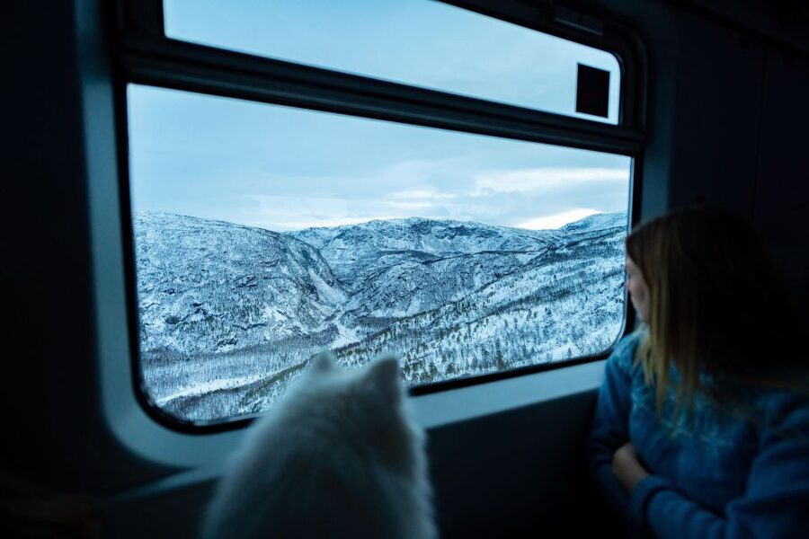 From Narvik: Roundtrip Arctic Train Ride on Ofoten Railway - Tunnels, bridges, and Arctic mountain views