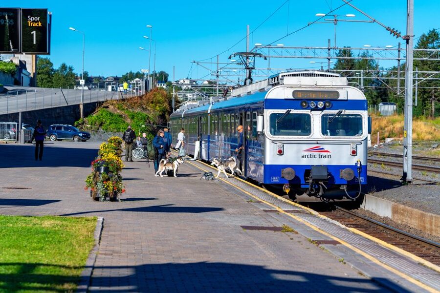 From Narvik: Roundtrip Arctic Train Ride on Ofoten Railway - Is $69 good value?