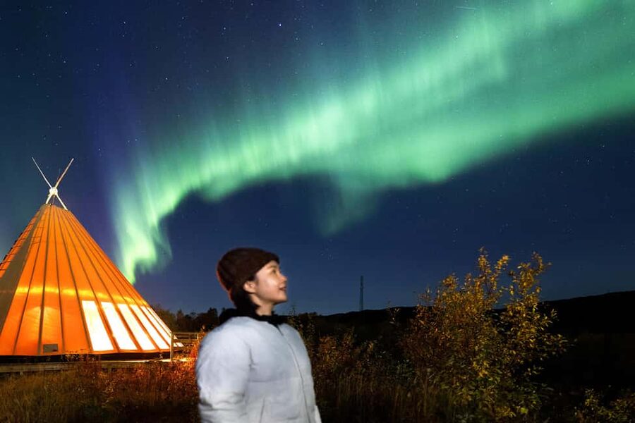 From Narvik: The Northern Lights Arctic Train Guided Tour - What the $156 price really covers