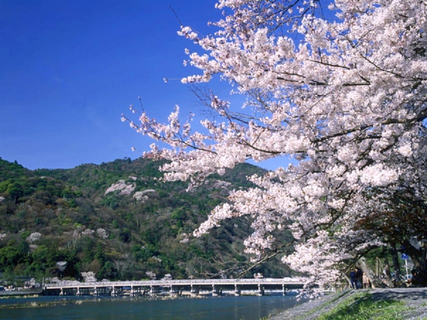 From Osaka: Sagano Train Ride and Kyoto Guided Day Tour - Arashiyama and the Sagano Bamboo Forest