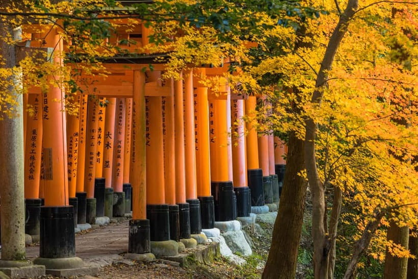 From Osaka: Sagano Train Ride and Kyoto Guided Day Tour - The Sagano Romantic Train along the Hozugawa River