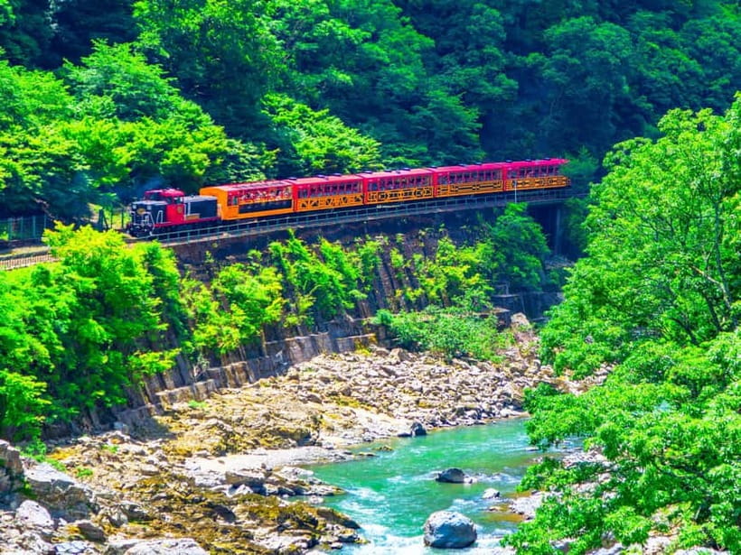 From Osaka: Sagano Train Ride and Kyoto Guided Day Tour - Lunch, bus comfort, and the real value of $66