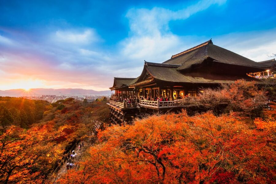From Osaka: Sagano Train Ride and Kyoto Guided Day Tour - How to handle the pace