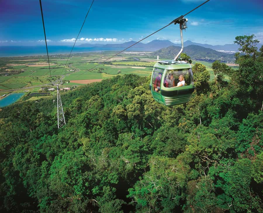 From Port Douglas: Hartley's Crocodile Park, Skyrail & Train - A full north Queensland day, start to finish