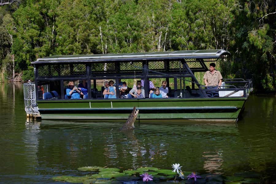From Port Douglas: Hartley's Crocodile Park, Skyrail & Train - Two hours in Kuranda for lunch and wandering
