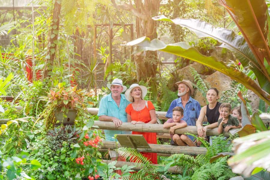 From Port Douglas: Hartley's Crocodile Park, Skyrail & Train - The Kuranda Scenic Train takes the long way home