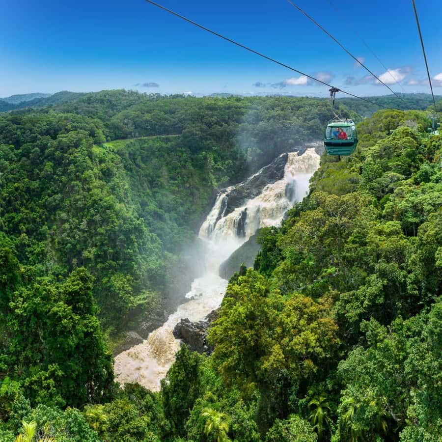 From Port Douglas: Hartley's Crocodile Park, Skyrail & Train - What the day is worth