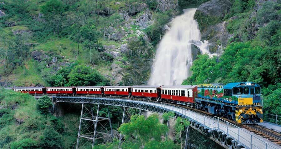 From Port Douglas: Hartley's Crocodile Park, Skyrail & Train - Guides, pickup, and the practical details
