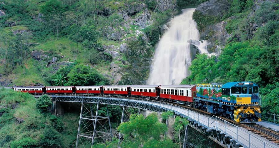 From Port Douglas: Kuranda Tour with Skyrail & Scenic Train - Skyrail Gives You the Rainforest From Above