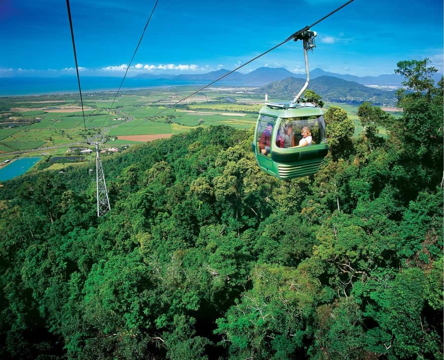 From Port Douglas: Kuranda Tour with Skyrail & Scenic Train - Palm Cove Adds a Short, Easy Finish