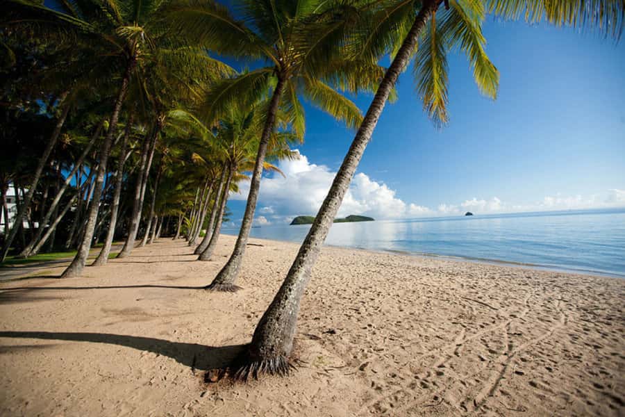 From Port Douglas: Kuranda Tour with Skyrail & Scenic Train - Is $148 Good Value?