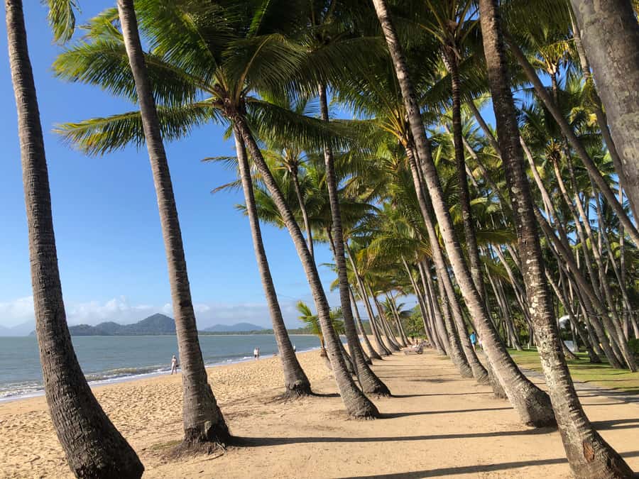 From Port Douglas: Kuranda via Scenic Rail or Skyrail Option - Riding the Kuranda Scenic Railway