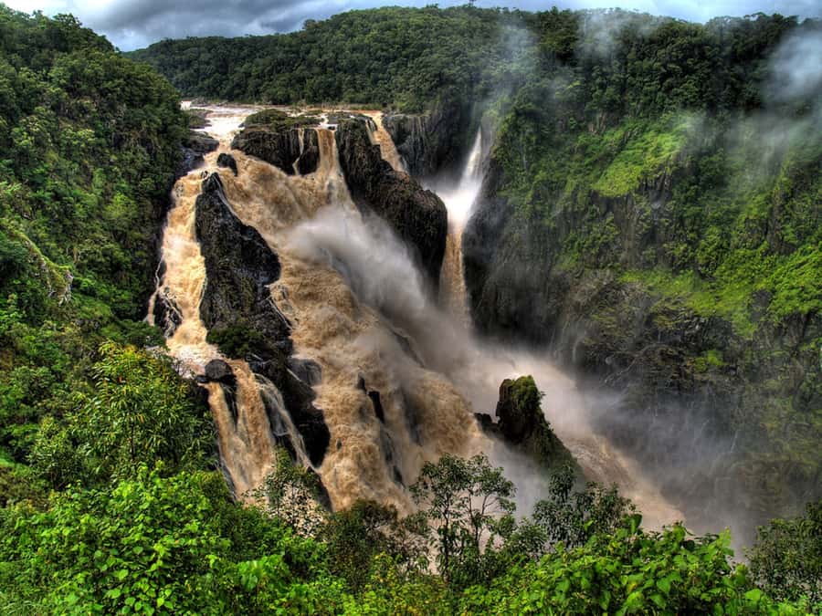 From Port Douglas: Kuranda via Scenic Rail or Skyrail Option - Skyrail above the rainforest canopy