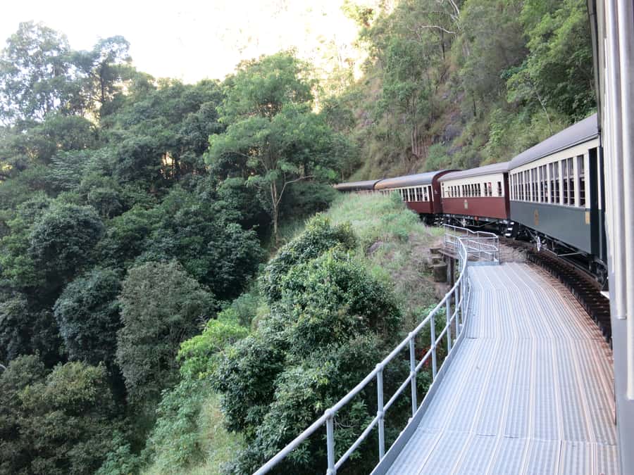 From Port Douglas: Kuranda via Scenic Rail or Skyrail Option - Who should book this day
