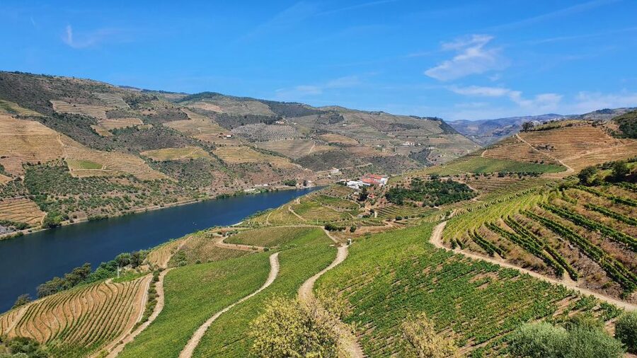 From Porto Douro Valley Tour with Train and Vinho Verde - Train travel and the changing schedule